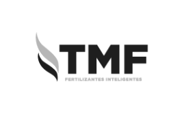 TMF